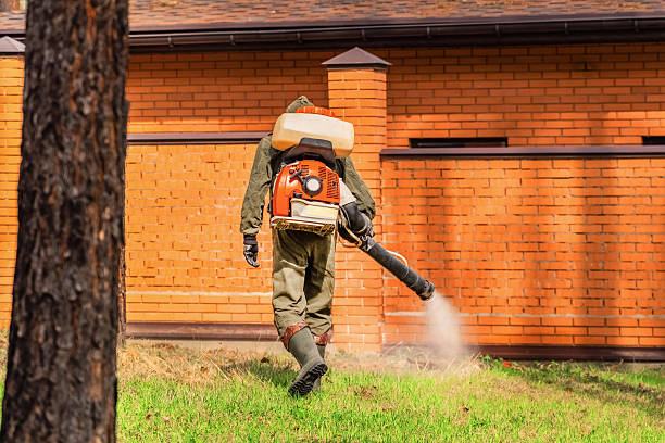 Top rated local Wasp Removal specialists in March ARB, CA